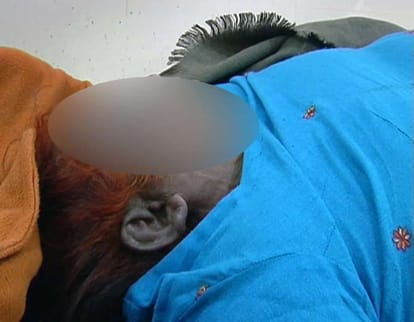 yamunanagar bdpo officer clerk rape and murder