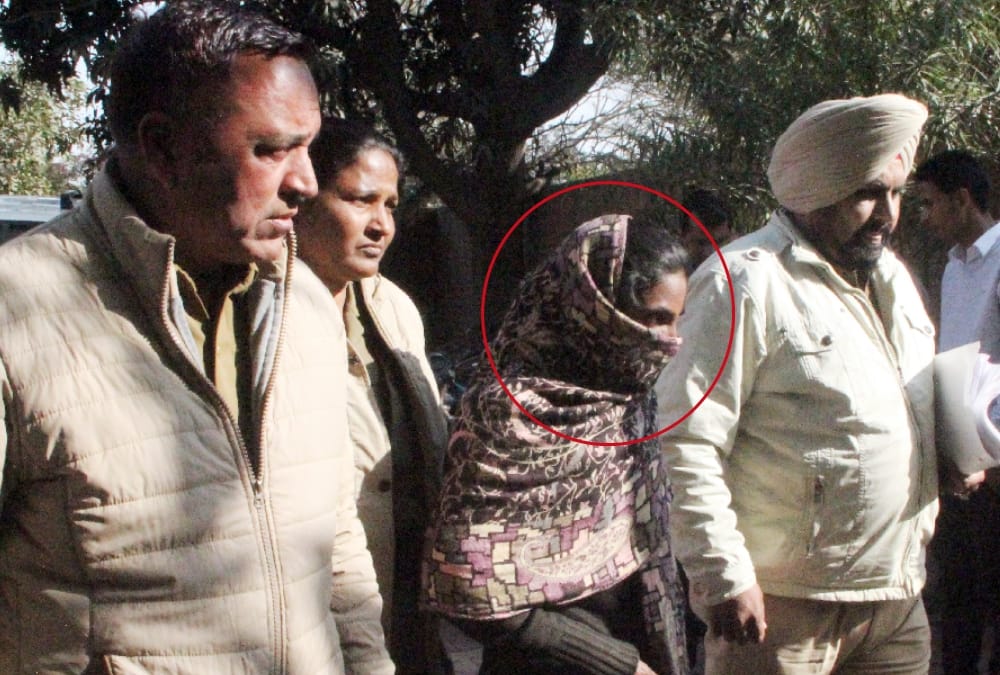 maid became doctor, stole degree of owner, punjab news