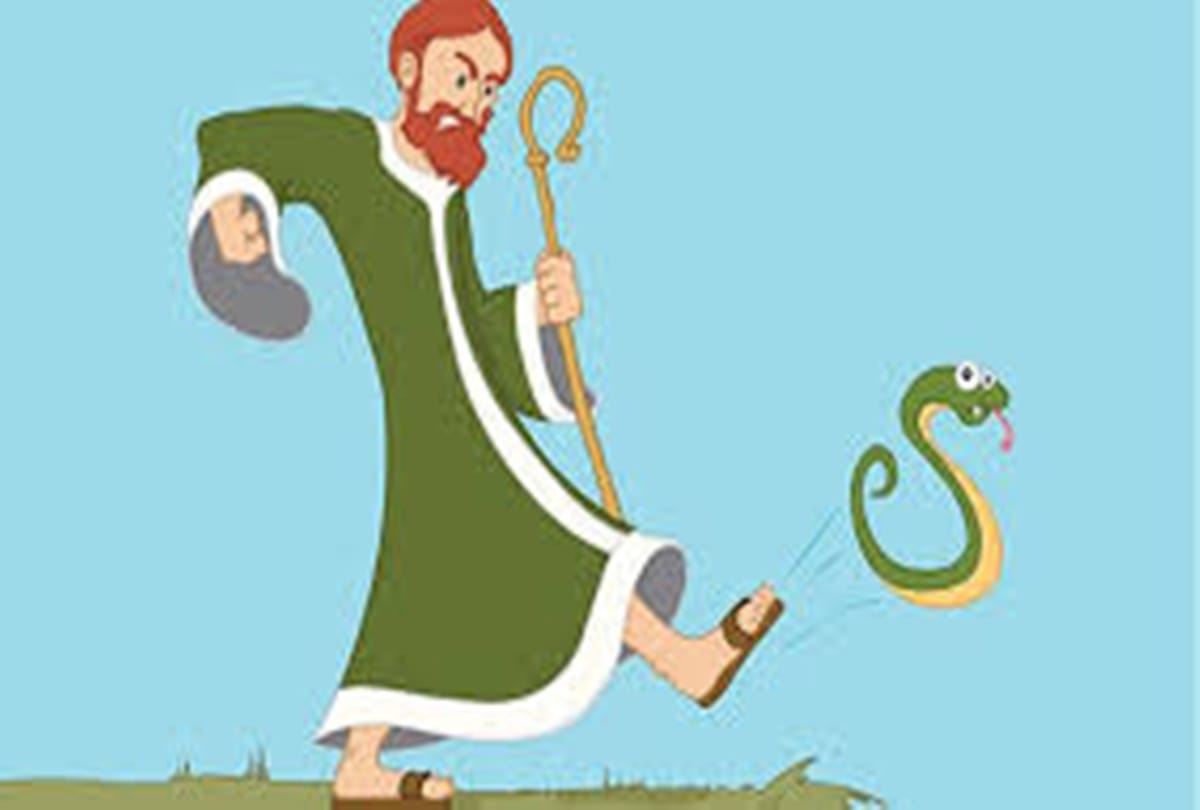 Know about the mystery Why there are not any snake in Ireland