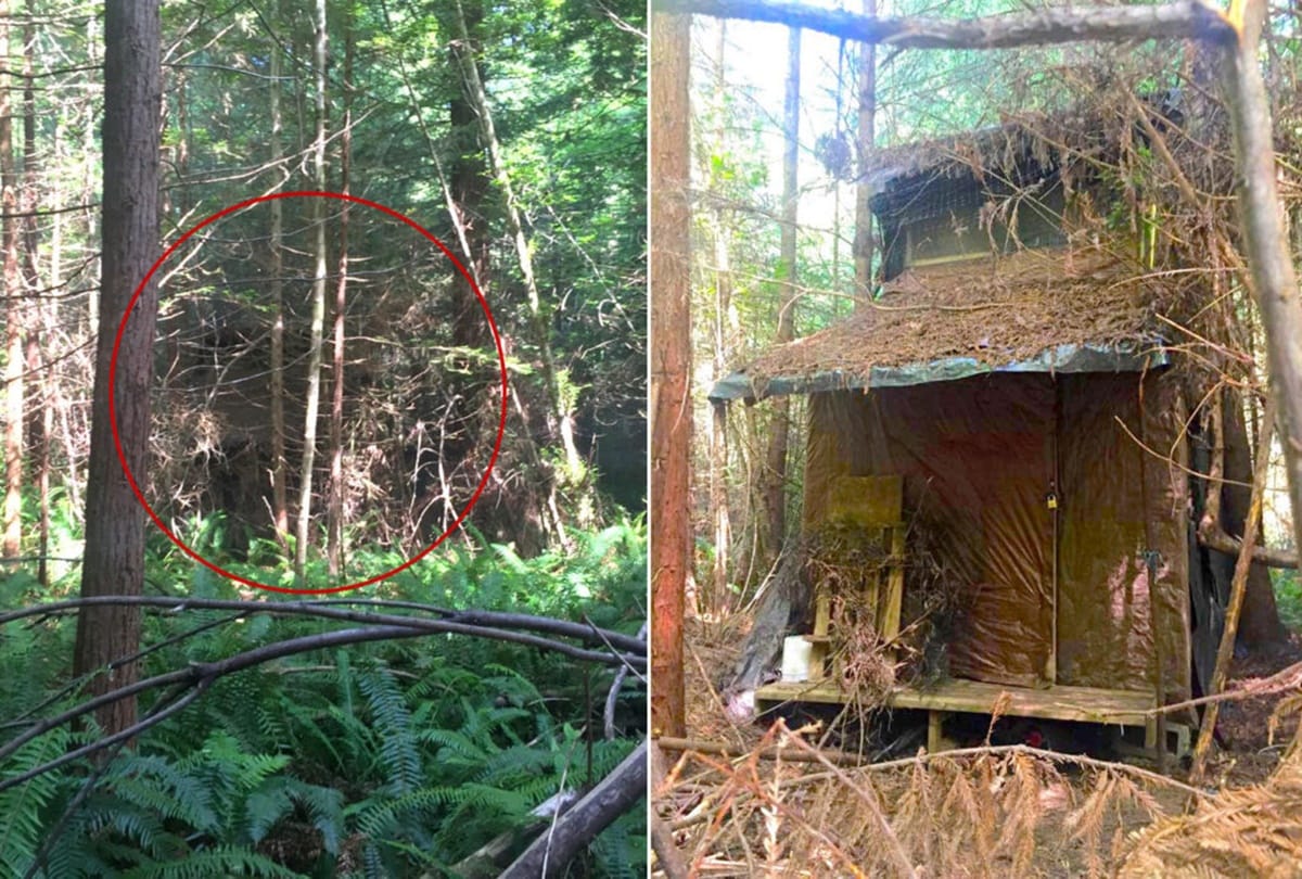 Ranger found Scary thing in the middle of the forest