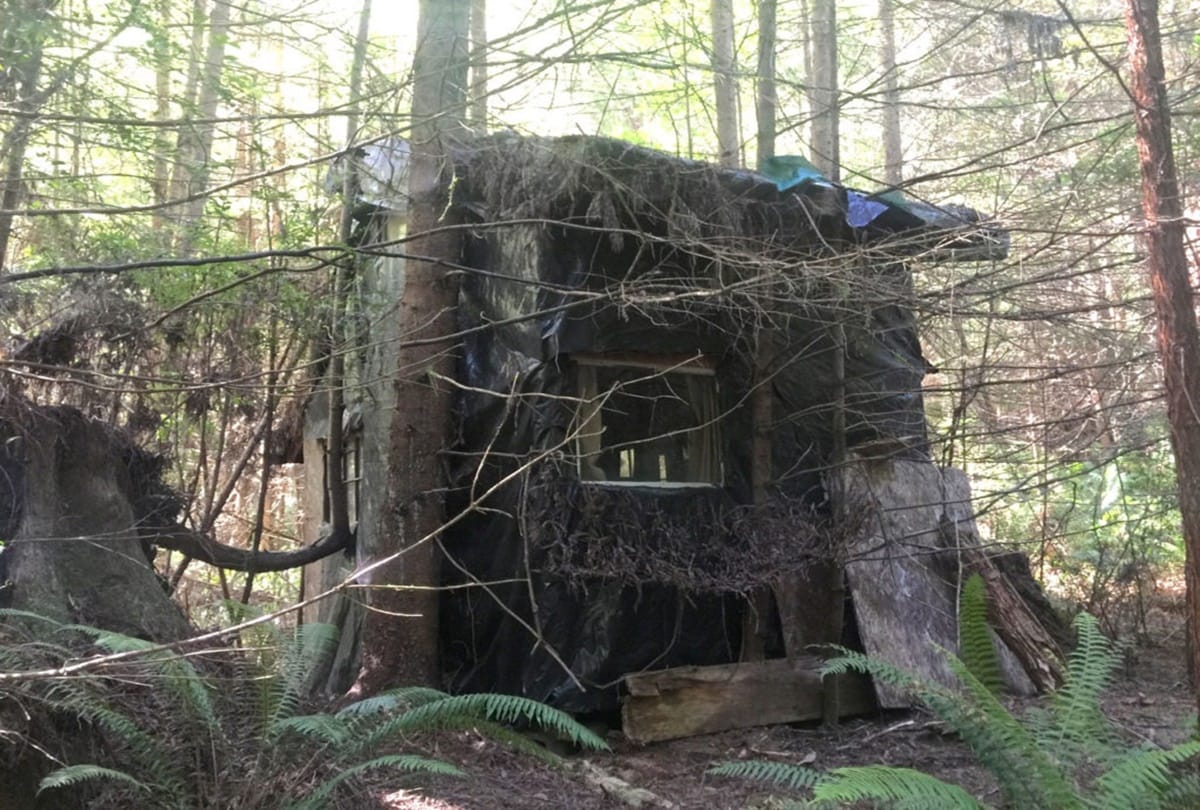 Ranger found Scary thing in the middle of the forest