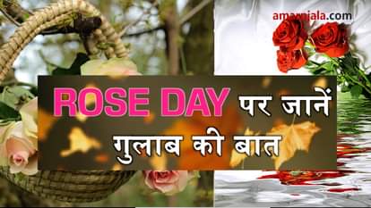  valentines special: colors of roses are symbol of different love