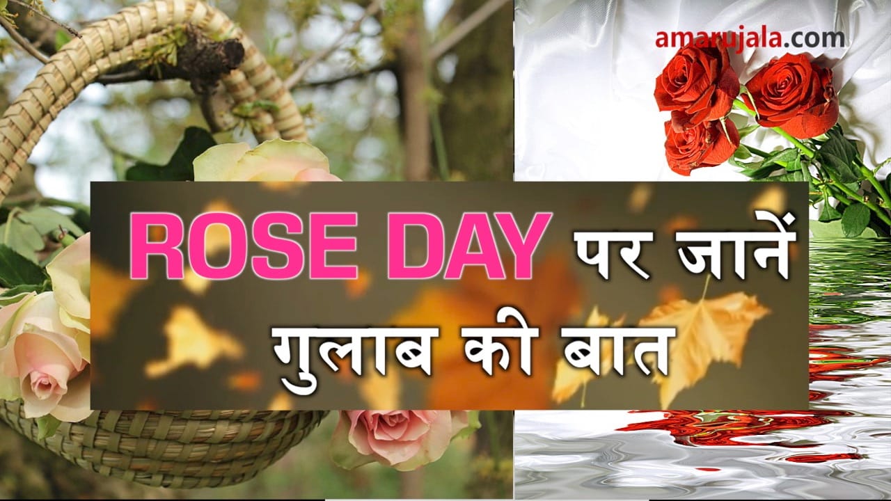 rose day