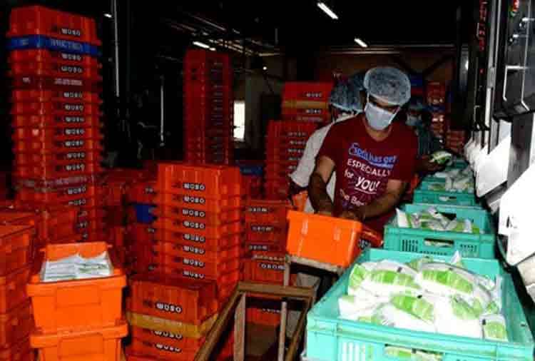 osam dairy four friends left jobs to start dairy farm 100 crore turnover