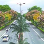 पीडब्ल्यूडी रोड