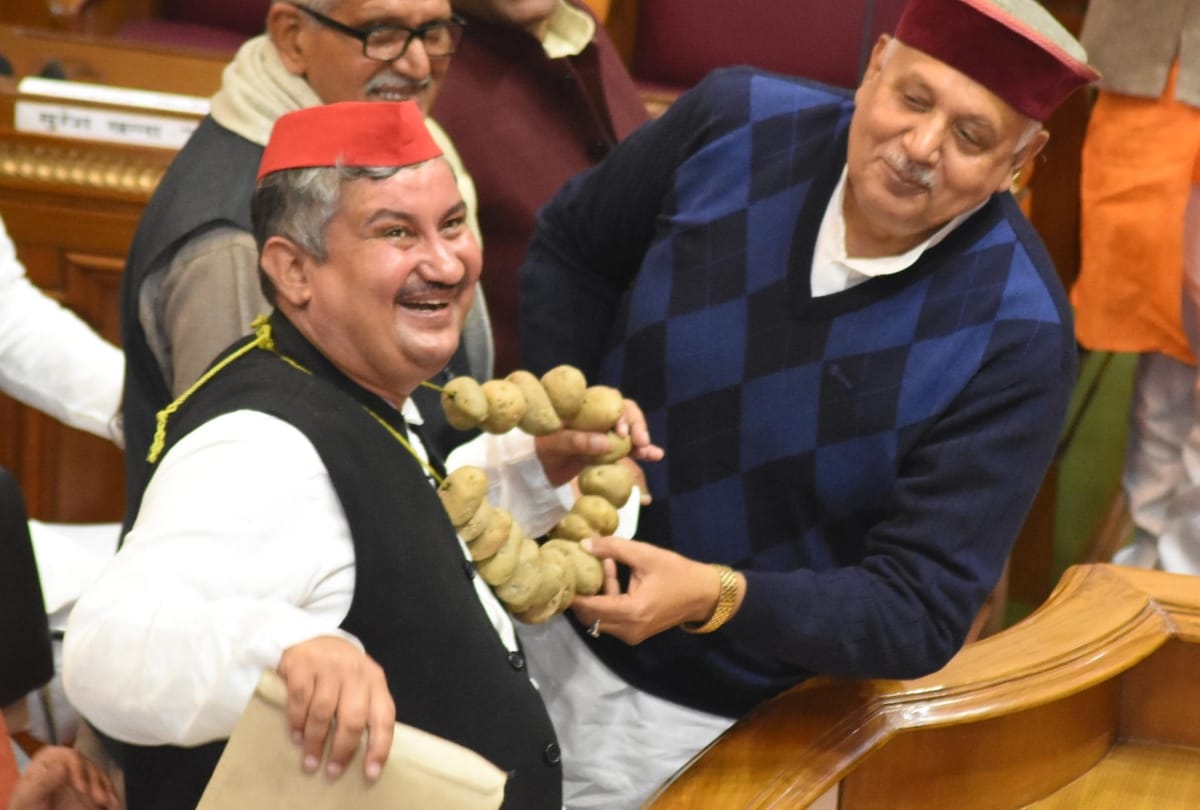 samajwadi leader protest with balloon and potato mala