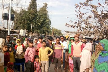 the girl working in agriculture land killed by the tiger
