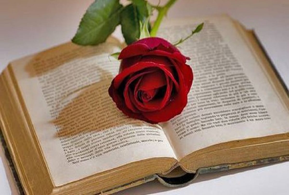 valentine week 2018 : love guru tips for healthy marriage life