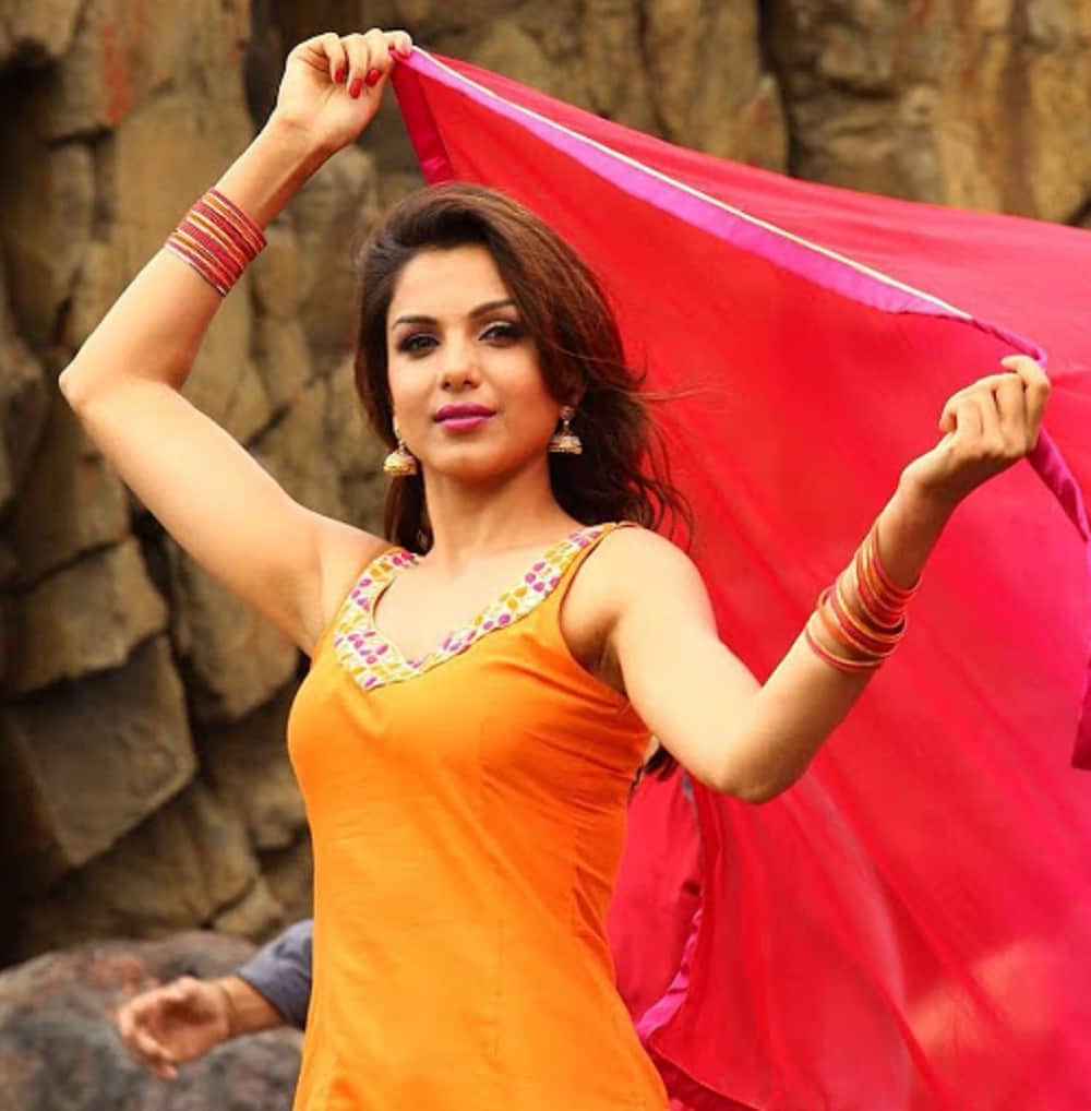 monica gill is a part of jp dutta movie paltan