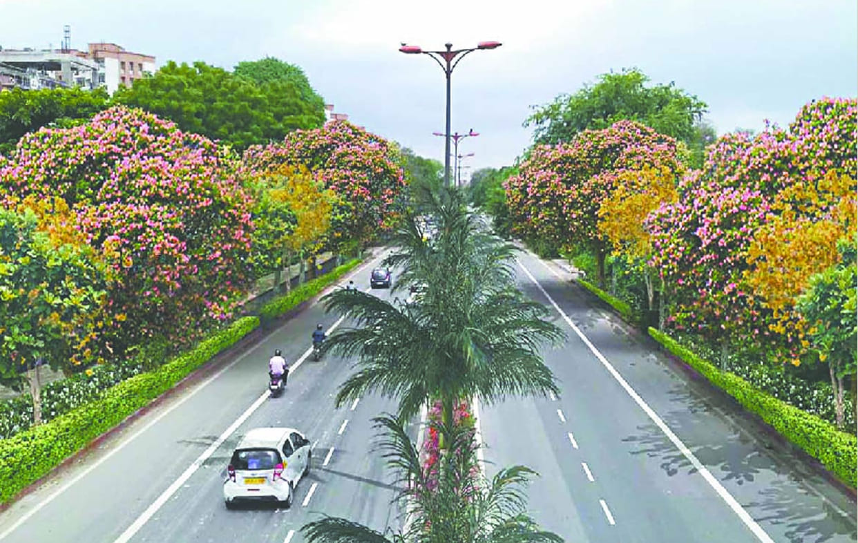 notice issued to blacklist 7 contractor of PWD.