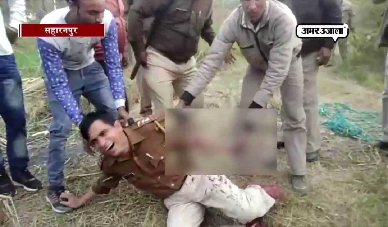 सहारनपुर तेंदुआ