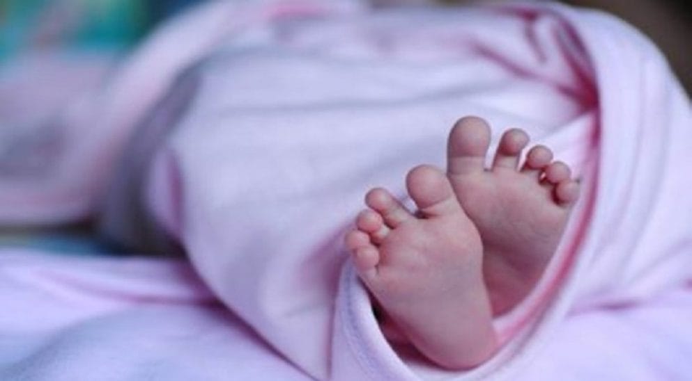 new born baby dead body found in bushes in lucknow