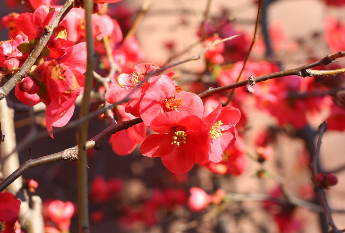 know importance of february month