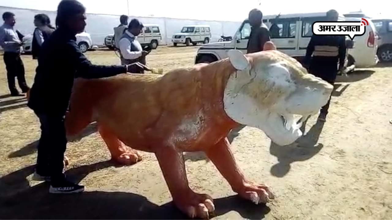 दुधवा टाइगर रिजर्व 