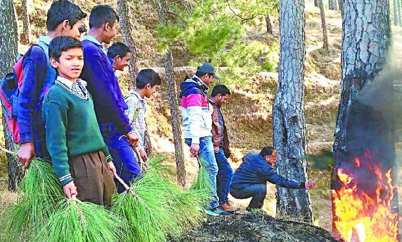 Children and teachers fire in a jungle forest
