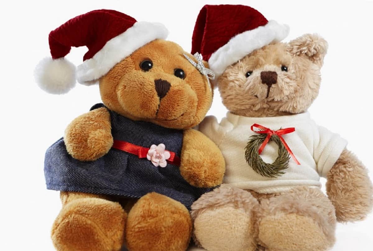 Teddy Day Status Quotes SMS Wallpapers Images And Shayari In Hindi for your loved ones