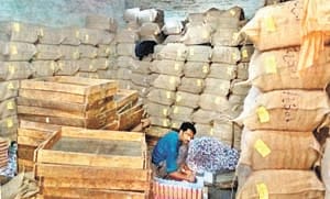 सुंदर परी बड़ी बनाने वाली कंपनी पर छापा