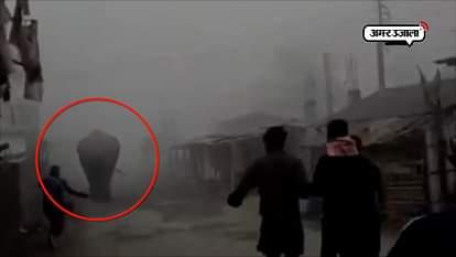 AN ELEPHANT ENTERED RESDENTIAL AREA OF SILIGURI IN WESR BENGAL