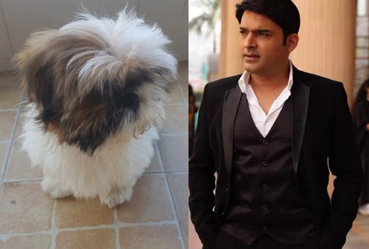 Comedy King Kapil Sharma adopt a new pet calls him Cheeku 