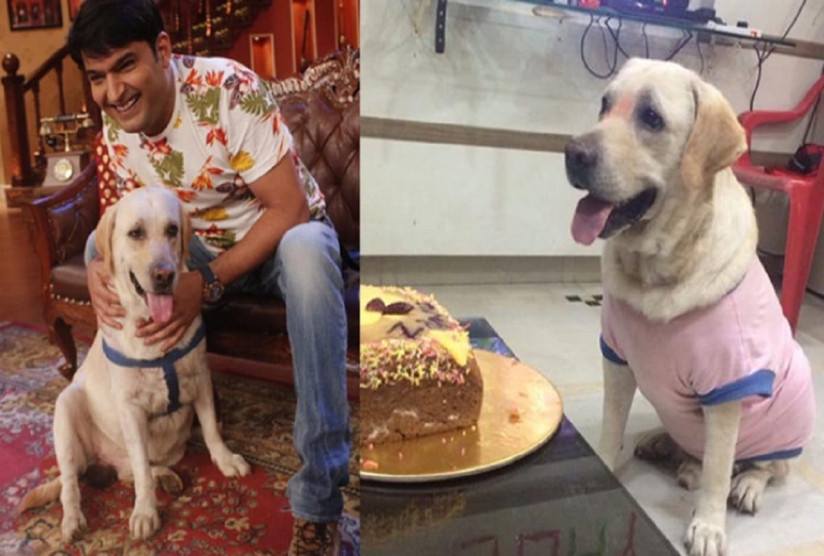 Comedy King Kapil Sharma adopt a new pet calls him Cheeku 