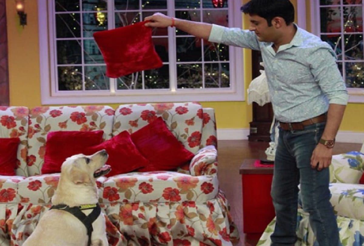 Comedy King Kapil Sharma adopt a new pet calls him Cheeku 