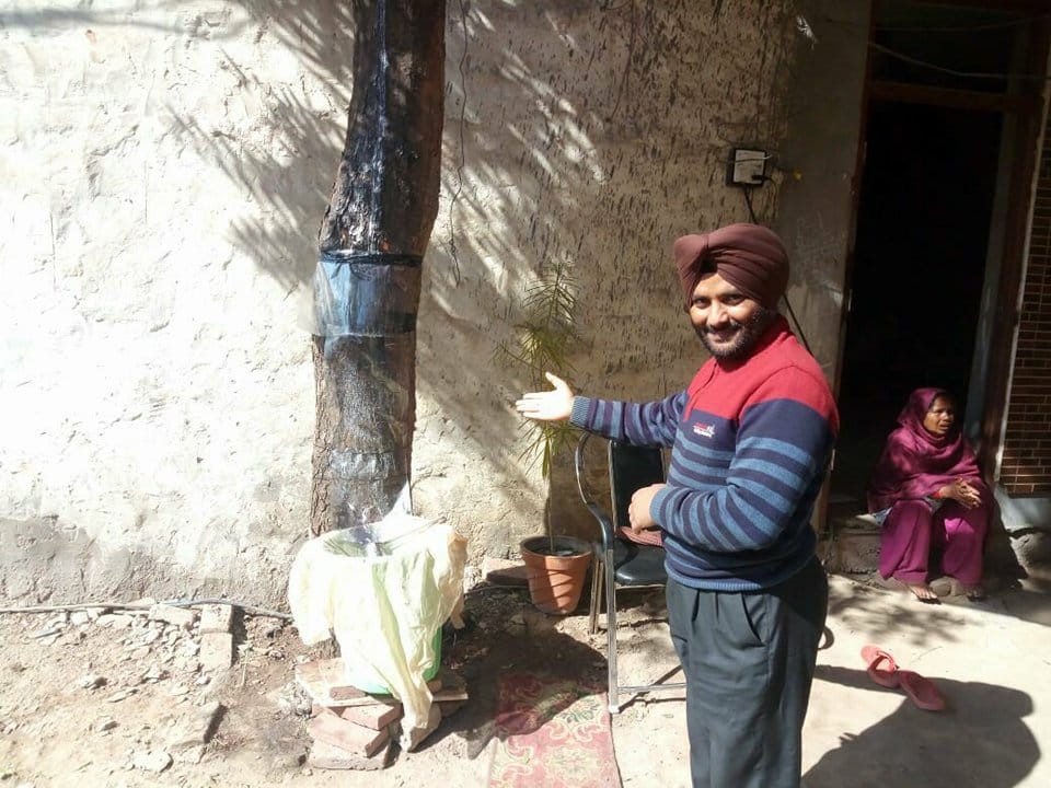 miracal tree found in mohali of punjab, people start to worship