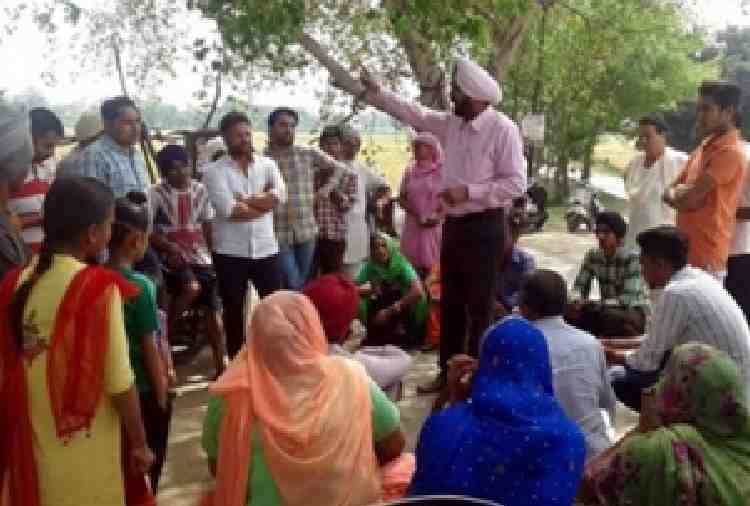 miracal tree found in mohali of punjab, people start to worship