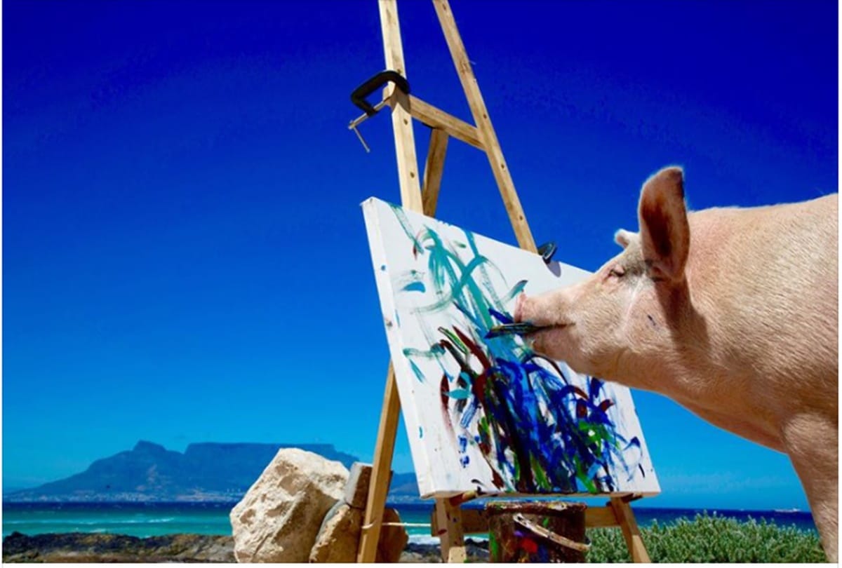 Pigcasso the Pig known for his artworks her painting sell for thousands of dollars