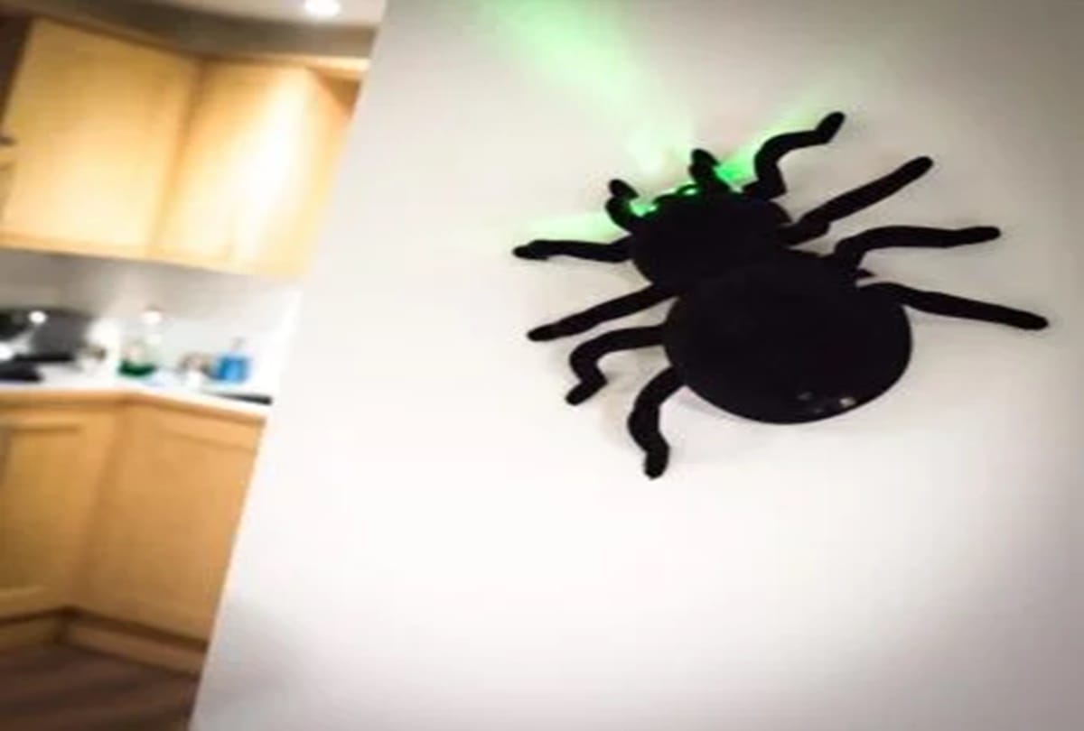 you can use use remote controlled spider for prank to play on friends