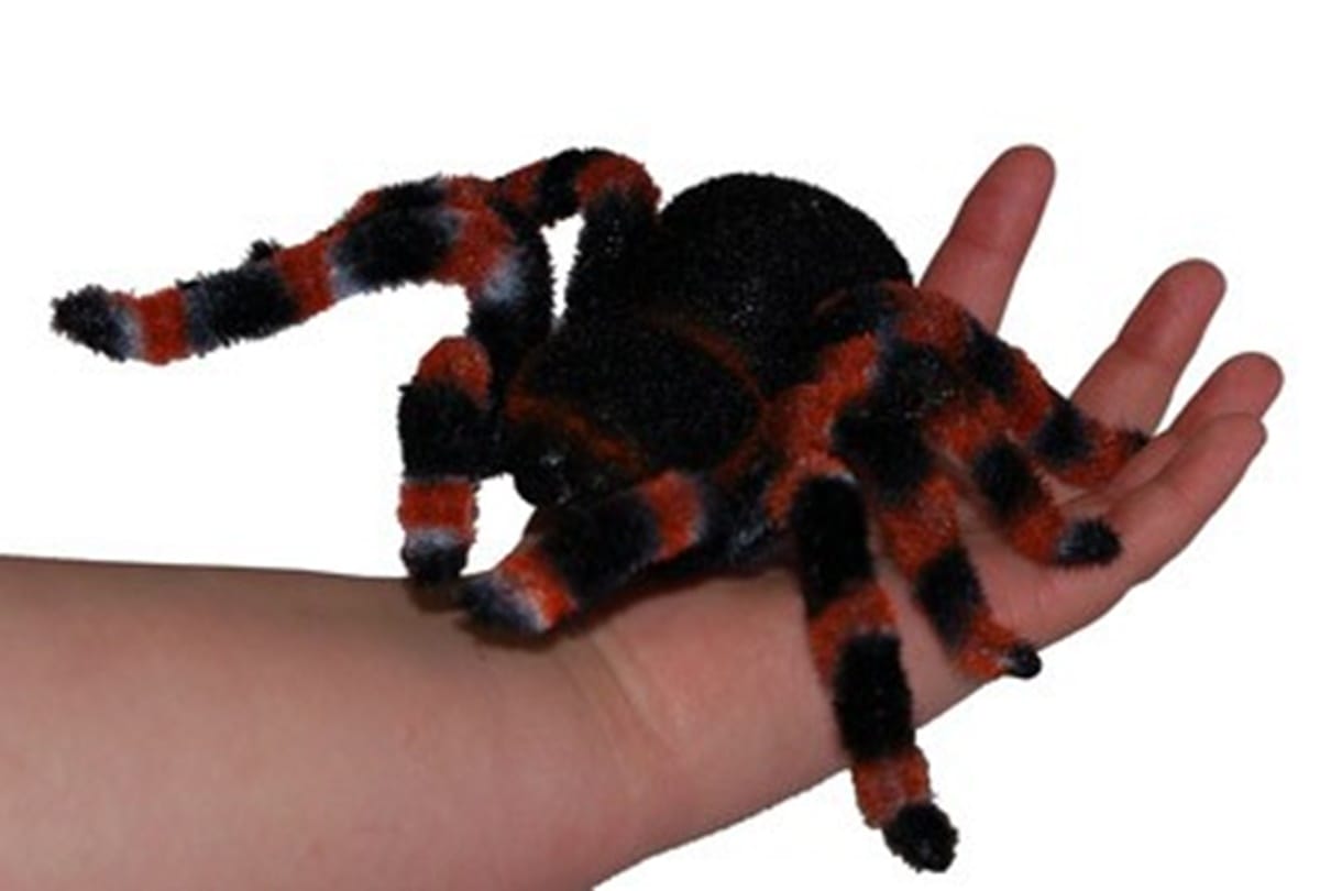 you can use use remote controlled spider for prank to play on friends