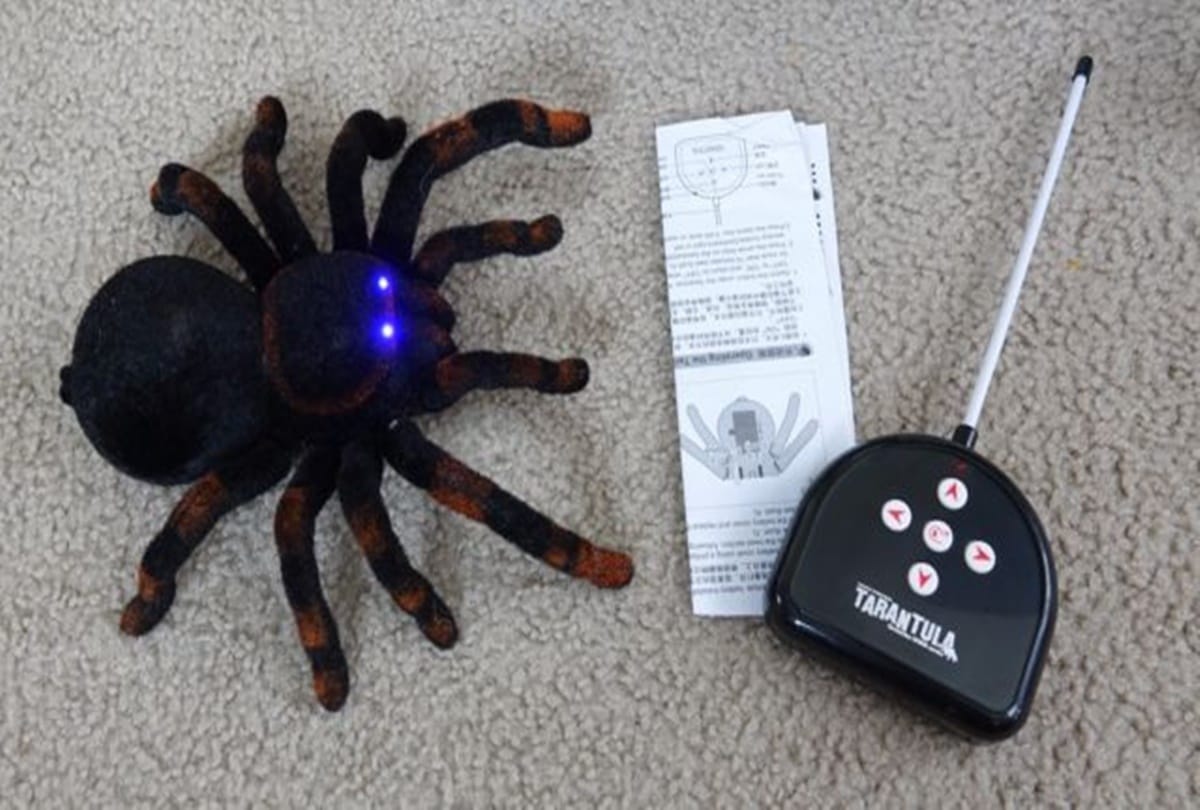 you can use use remote controlled spider for prank to play on friends
