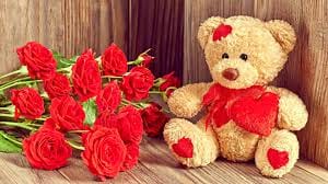husband gave special gift to wife on teddy day