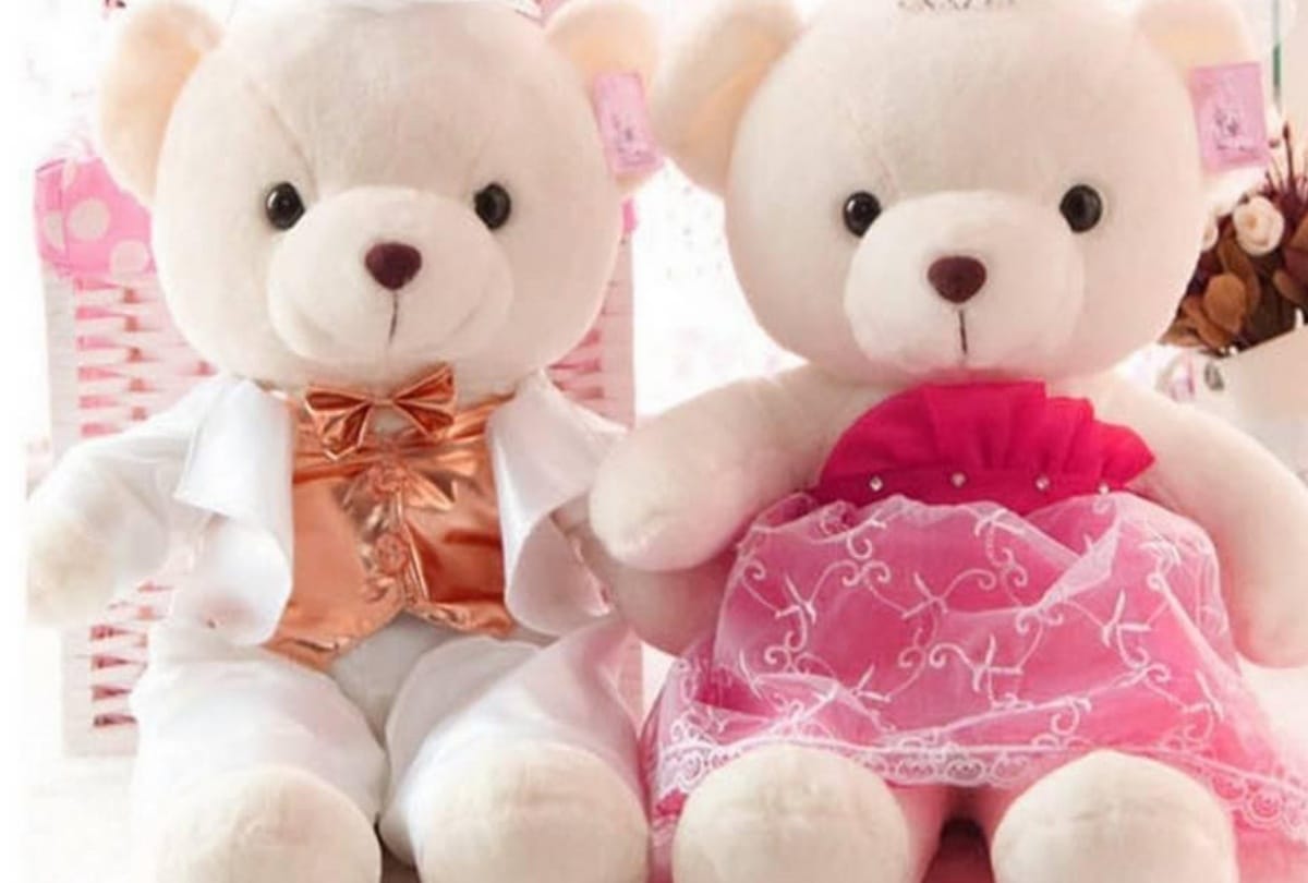 husband gave special gift to wife on teddy day