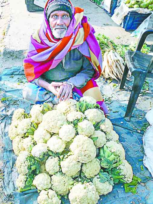 Now the cabbage increased tension