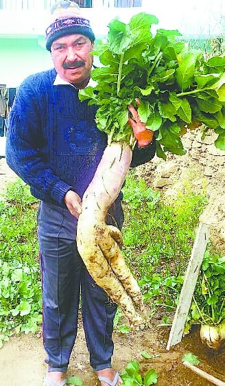 Former Subedar Bisht raised 10 kg radish