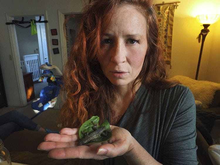 woman from california bought lettuce 3 inch lizard