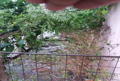 Madhya Pradesh: Hail falls with heavy rain, Four killed, seven injured
