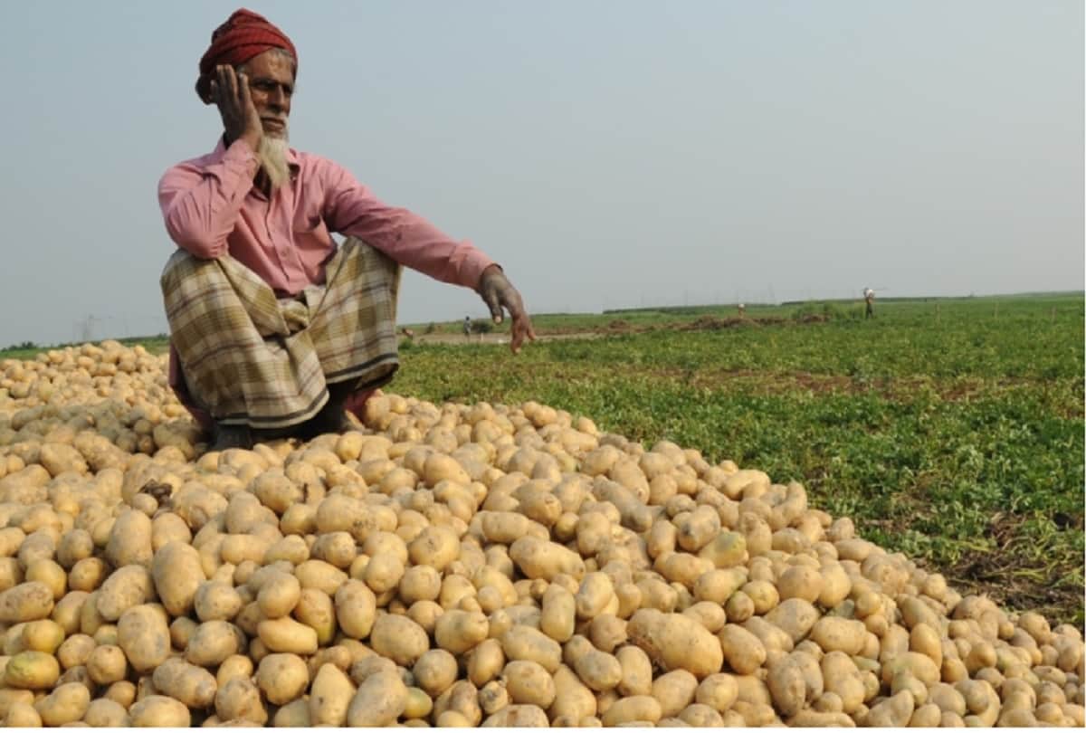 How the Humble Potato Change The World a Historical Story vitamins and nutrients in Potatoes