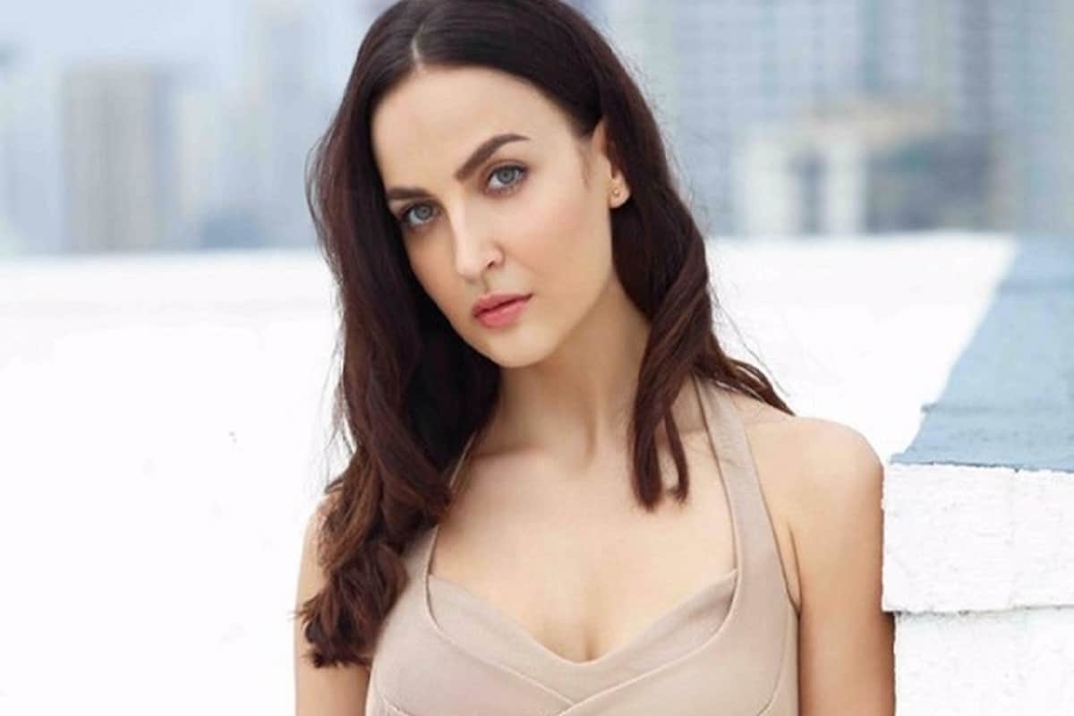 Elli AvrRam statement on her relationship with hardik pandya