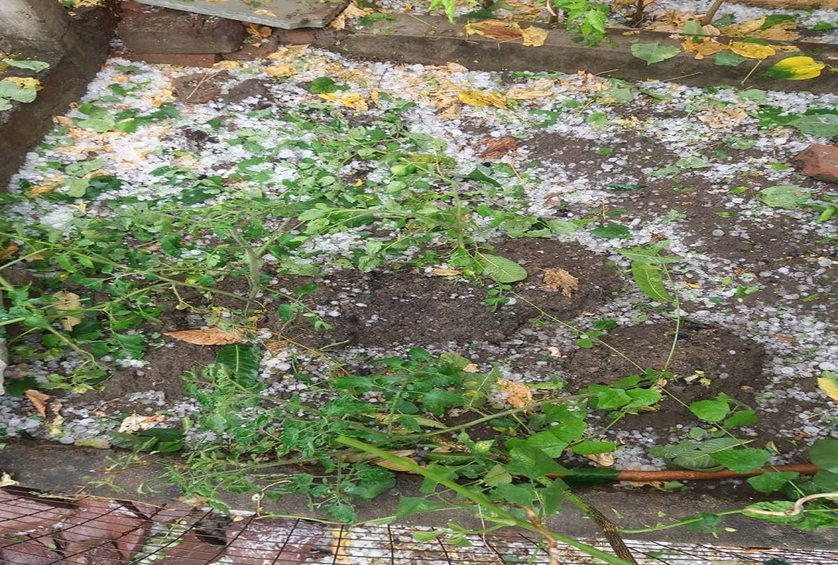 Thunderstorm and rain Warning in five districts of uttarakhand