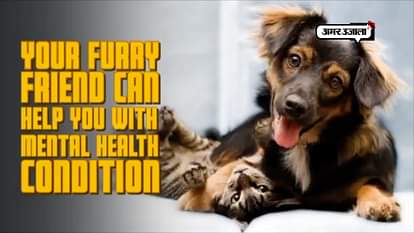 tips:a pet dog can cure your this disease
