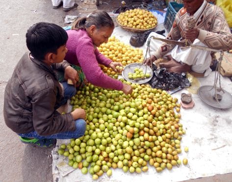 महादेव को चेन्नई-गुजरात के बेर से मनाएंगे भक्त