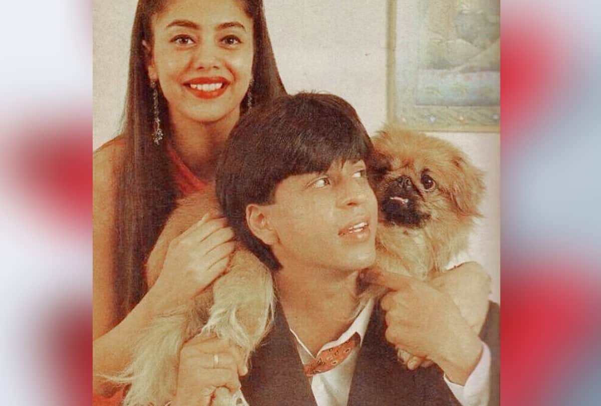 Shah Rukh Khan reveals he took gauri khan with him to darjeeling instead of paris for honeymoon