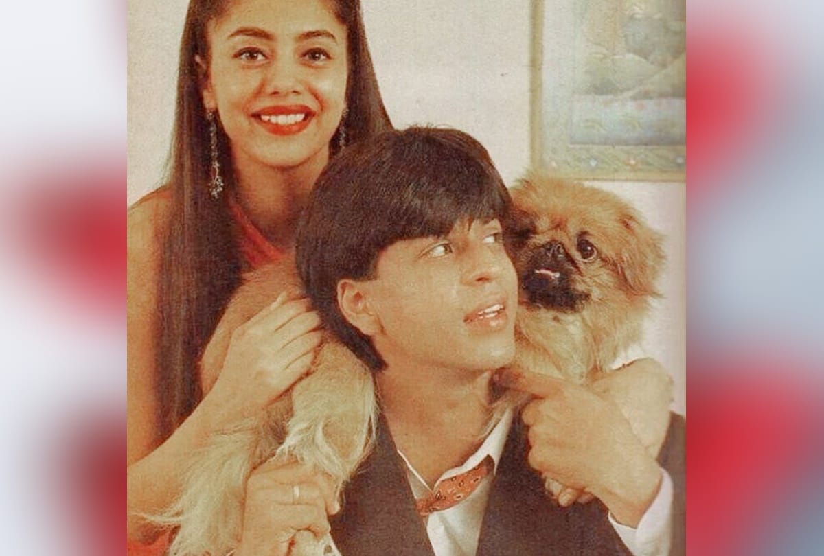valentines day special: shahrukh khan and gauri khan love story