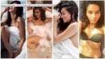 bollywood news