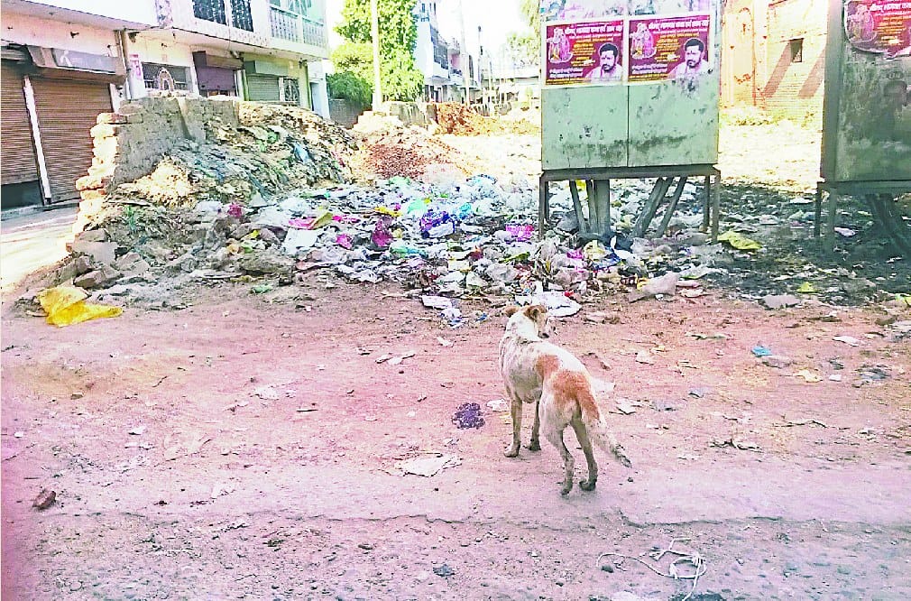 डोर टु डोर कूड़ा उठाने की योजना नहीं चढ़ सकी परवान