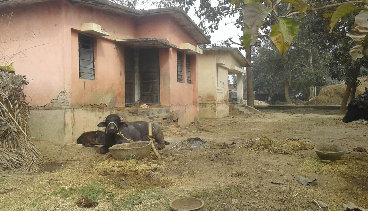 Animals bundled in ANM center buildings