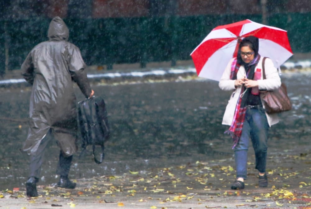 Orange Alert for Heavy Rainfall in Punjab and Haryana, Monsoon Forecast