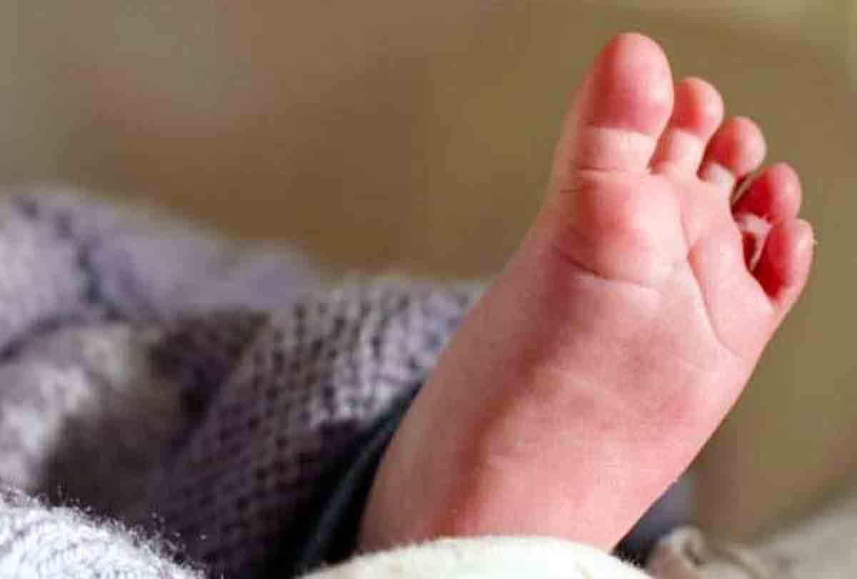 3 year girl killed in kanpur uttar pradesh
