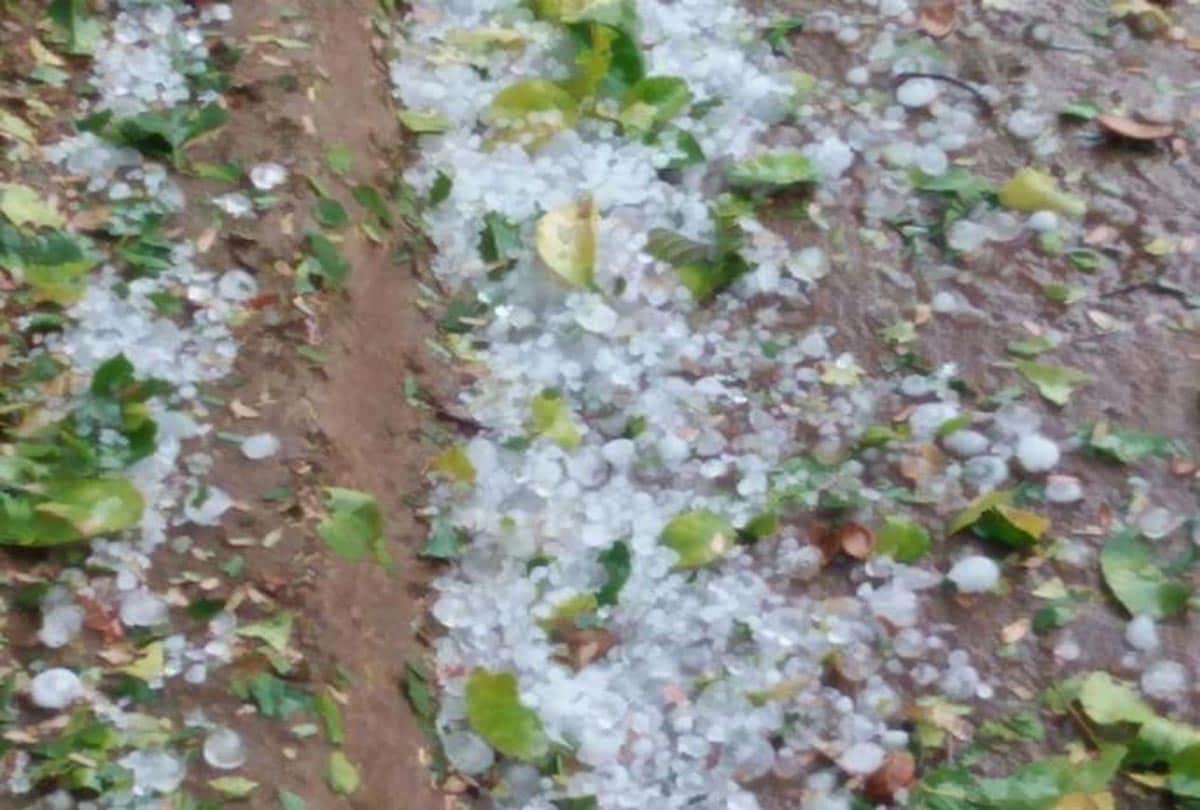 Uttar Pradesh witnessed extremely good rains